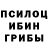 Галлюциногенные грибы мухоморы Nurlan Saparaly