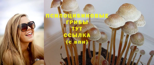 мяу мяу мука Богданович