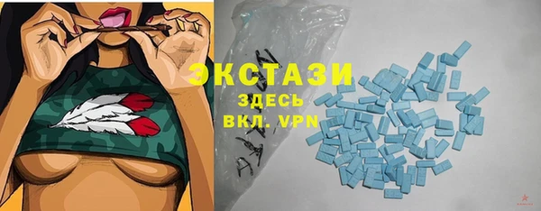 крисы Бородино
