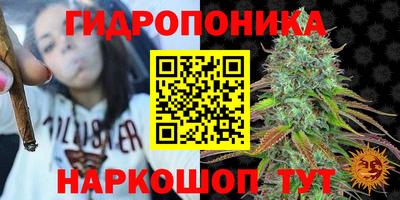 гидра Абакан