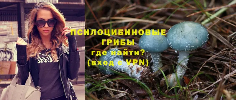 Галлюциногенные грибы Magic Shrooms  купить  цена  Ефремов 