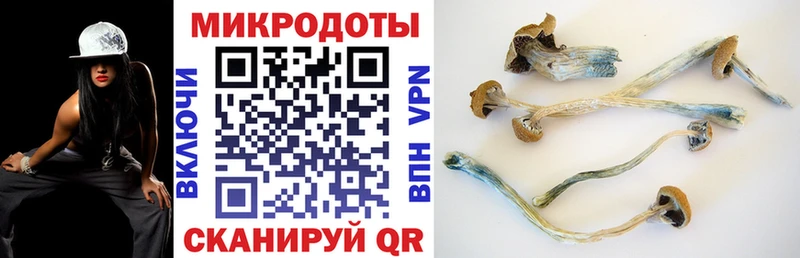 Галлюциногенные грибы прущие грибы Ефремов