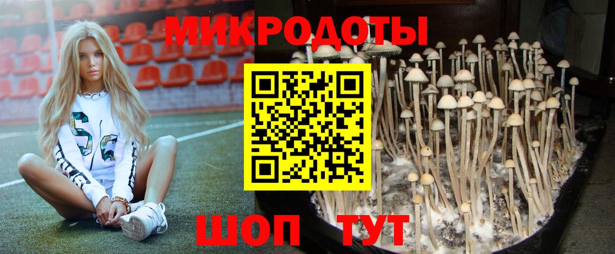 Галлюциногенные грибы GOLDEN TEACHER Ефремов
