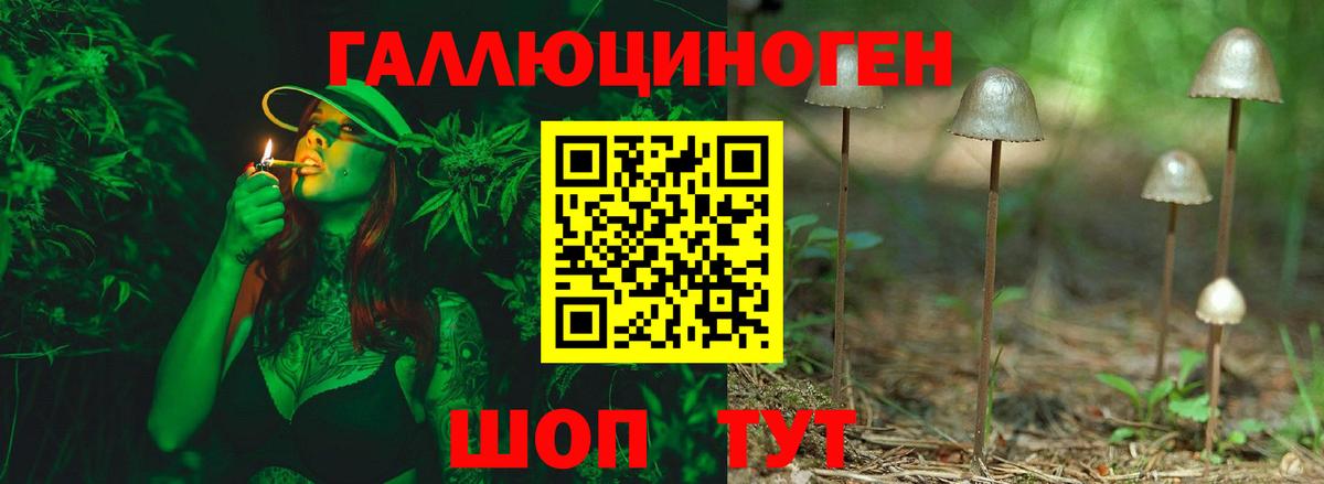 Ефремов  Галлюциногенные грибы мухоморы  Вход с VPN 